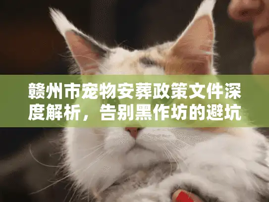 赣州市宠物安葬政策文件深度解析，告别黑作坊的避坑实录