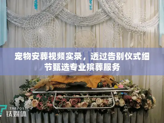 宠物安葬视频实录,透过告别仪式细节甄选专业殡葬服务 宠物安葬视频实录,透过告别仪式细节甄选专业殡葬服务