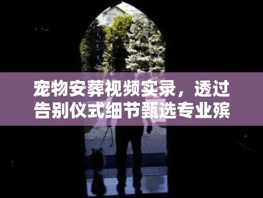 宠物安葬视频实录,透过告别仪式细节甄选专业殡葬服务 宠物安葬视频实录,透过告别仪式细节甄选专业殡葬服务