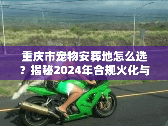 重庆市宠物安葬地怎么选？揭秘2024年合规火化与避坑门道