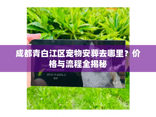 成都青白江区宠物安葬去哪里？价格与流程全揭秘