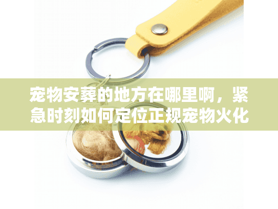 宠物安葬的地方在哪里啊，紧急时刻如何定位正规宠物火化场