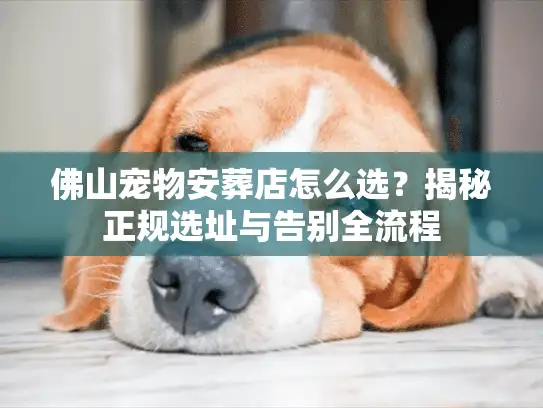 佛山宠物安葬店怎么选？揭秘正规选址与告别全流程