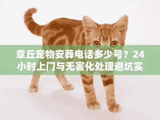 章丘宠物安葬电话多少号？24小时上门与无害化处理避坑实录