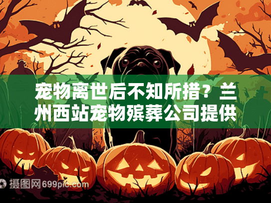 宠物离世后不知所措？兰州西站宠物殡葬公司提供专业服务