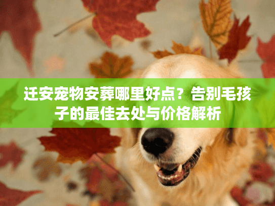 迁安宠物安葬哪里好点？告别毛孩子的最佳去处与价格解析