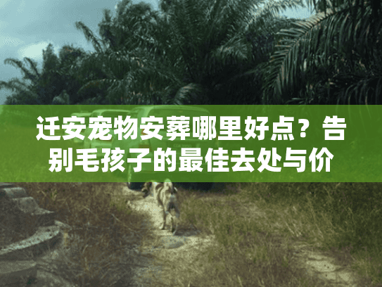 迁安宠物安葬哪里好点？告别毛孩子的最佳去处与价格解析