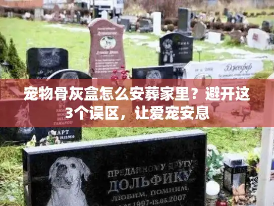 宠物骨灰盒怎么安葬家里？避开这3个误区，让爱宠安息