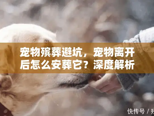 宠物殡葬避坑，宠物离开后怎么安葬它？深度解析善后门道