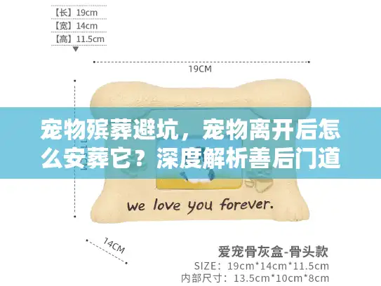 宠物殡葬避坑，宠物离开后怎么安葬它？深度解析善后门道