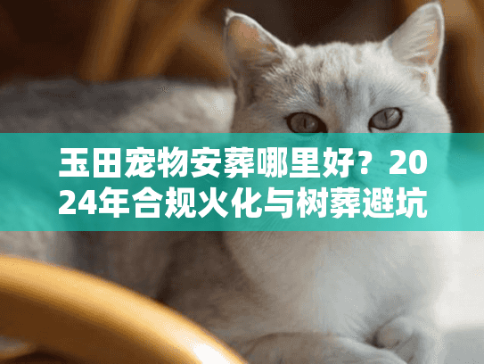 玉田宠物安葬哪里好？2024年合规火化与树葬避坑实录