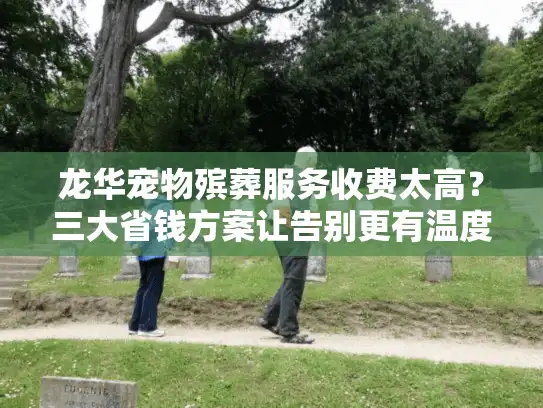 龙华宠物殡葬服务收费太高？三大省钱方案让告别更有温度