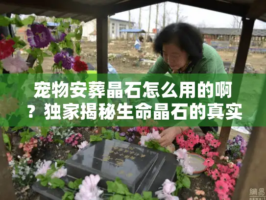 宠物安葬晶石怎么用的啊？独家揭秘生命晶石的真实用途与转化