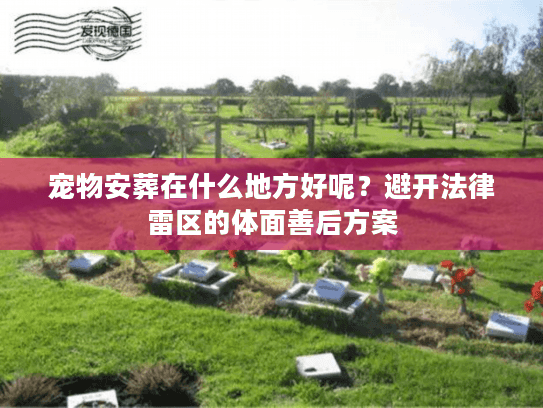 宠物安葬在什么地方好呢？避开法律雷区的体面善后方案