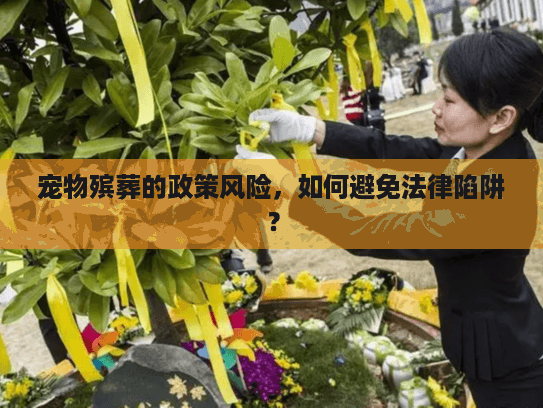 宠物殡葬的政策风险,如何避免法律陷阱? 宠物殡葬的政策风险,如何避免法律陷阱?