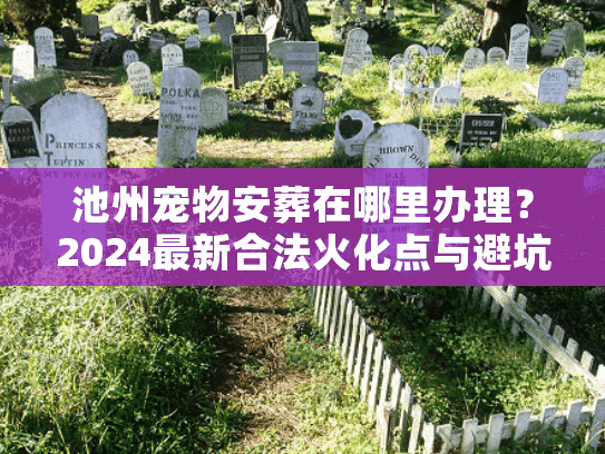 池州宠物安葬在哪里办理?2024最新合法火化点与避坑内幕 池州宠物安葬在哪里办理?2024最新合法火化点与避坑内幕