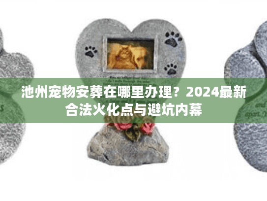 池州宠物安葬在哪里办理?2024最新合法火化点与避坑内幕 池州宠物安葬在哪里办理?2024最新合法火化点与避坑内幕