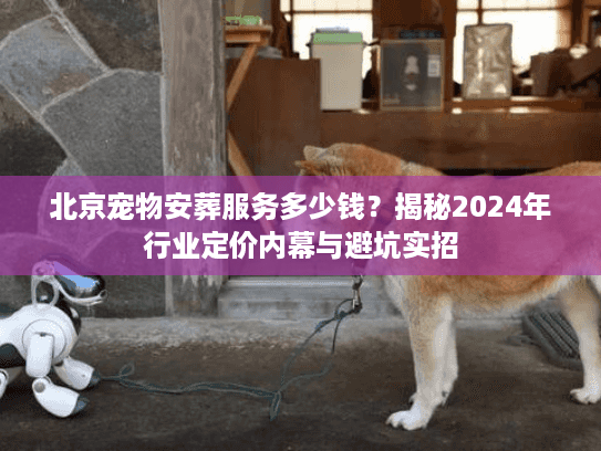 北京宠物安葬服务多少钱？揭秘2024年行业定价内幕与避坑实招