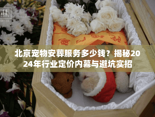 北京宠物安葬服务多少钱？揭秘2024年行业定价内幕与避坑实招