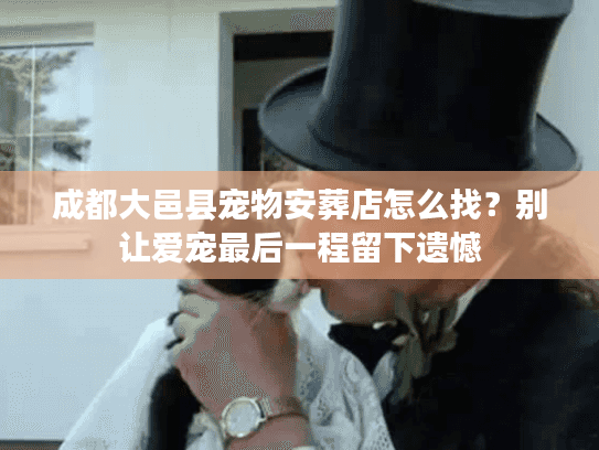 成都大邑县宠物安葬店怎么找？别让爱宠最后一程留下遗憾