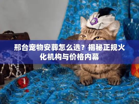 邢台宠物安葬怎么选?揭秘正规火化机构与价格内幕 邢台宠物安葬怎么选?揭秘正规火化机构与价格内幕