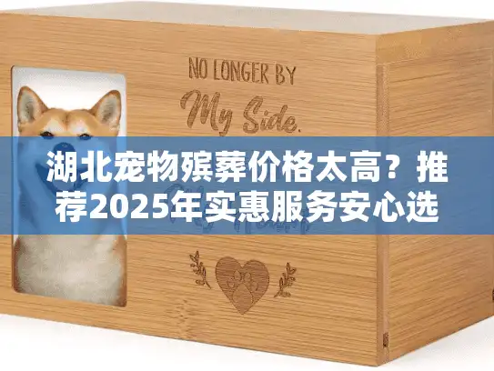 湖北宠物殡葬价格太高？推荐2025年实惠服务安心选择