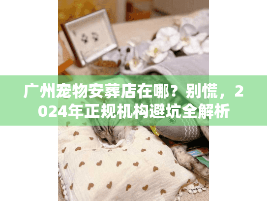 广州宠物安葬店在哪？别慌，2024年正规机构避坑全解析