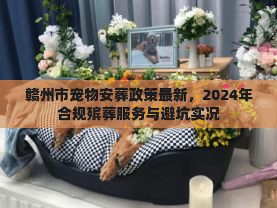 赣州市宠物安葬政策最新，2024年合规殡葬服务与避坑实况