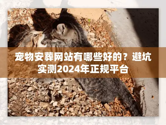 宠物安葬网站有哪些好的?避坑实测2024年正规平台 宠物安葬网站有哪些好的?避坑实测2024年正规平台
