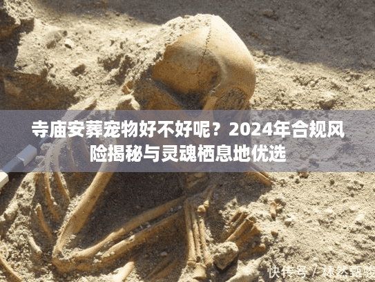 寺庙安葬宠物好不好呢？2024年合规风险揭秘与灵魂栖息地优选