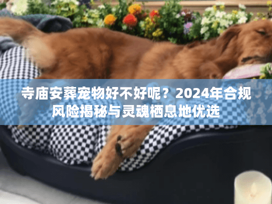 寺庙安葬宠物好不好呢？2024年合规风险揭秘与灵魂栖息地优选
