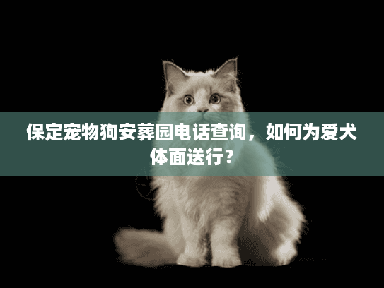 保定宠物狗安葬园电话查询，如何为爱犬体面送行？