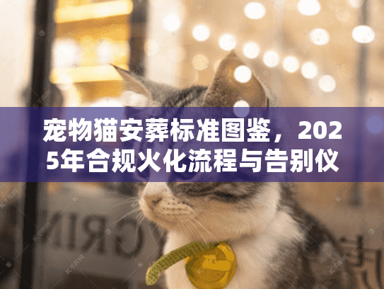宠物猫安葬标准图鉴，2025年合规火化流程与告别仪式全解