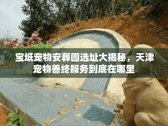宝坻宠物安葬园选址大揭秘,天津宠物善终服务到底在哪里 宝坻宠物安葬园选址大揭秘,天津宠物善终服务到底在哪里