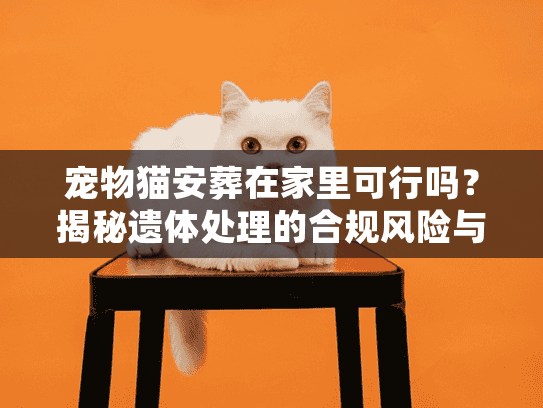 宠物猫安葬在家里可行吗？揭秘遗体处理的合规风险与最佳方案
