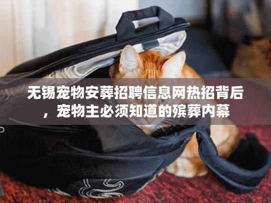 无锡宠物安葬招聘信息网热招背后，宠物主必须知道的殡葬内幕