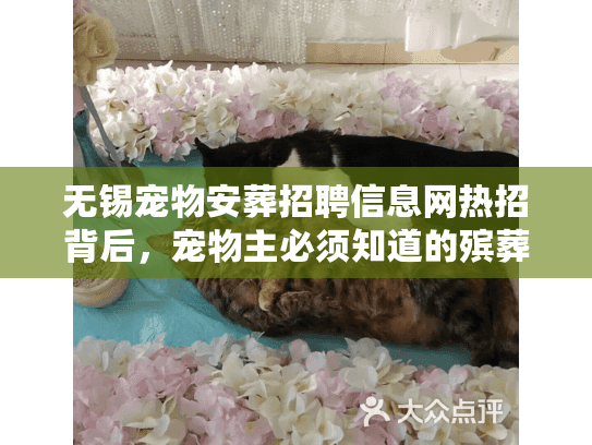 无锡宠物安葬招聘信息网热招背后，宠物主必须知道的殡葬内幕