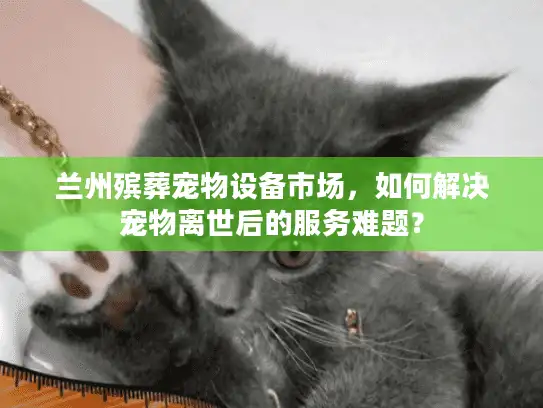 兰州殡葬宠物设备市场,如何解决宠物离世后的服务难题? 兰州殡葬宠物设备市场,如何解决宠物离世后的服务难题?