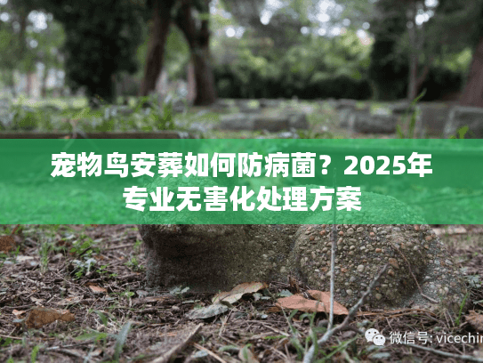 宠物鸟安葬如何防病菌？2025年专业无害化处理方案