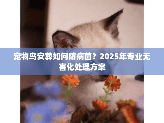 宠物鸟安葬如何防病菌？2025年专业无害化处理方案