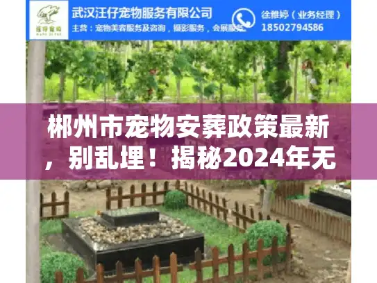 郴州市宠物安葬政策最新，别乱埋！揭秘2024年无害化处理红线与正规渠道