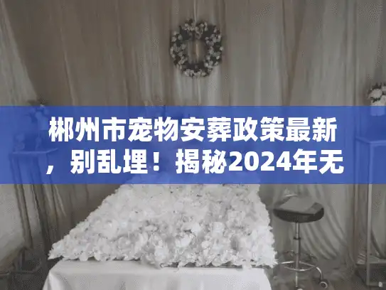 郴州市宠物安葬政策最新，别乱埋！揭秘2024年无害化处理红线与正规渠道