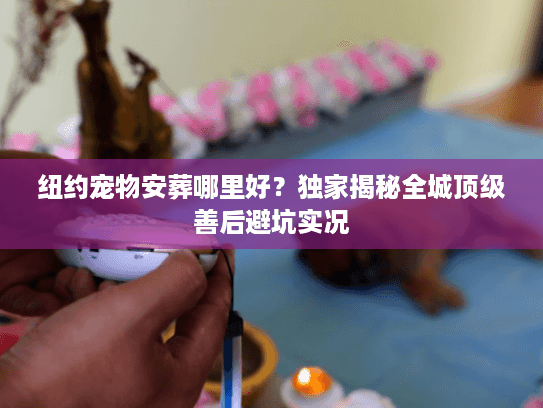 纽约宠物安葬哪里好？独家揭秘全城顶级善后避坑实况