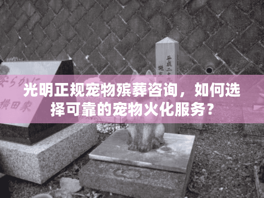 光明正规宠物殡葬咨询，如何选择可靠的宠物火化服务？