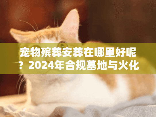 宠物殡葬安葬在哪里好呢？2024年合规墓地与火化场避坑实录