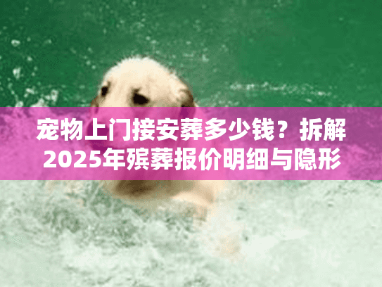 宠物上门接安葬多少钱？拆解2025年殡葬报价明细与隐形消费