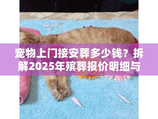 宠物上门接安葬多少钱？拆解2025年殡葬报价明细与隐形消费