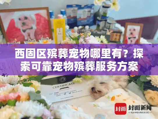 西固区殡葬宠物哪里有?探索可靠宠物殡葬服务方案 西固区殡葬宠物哪里有?探索可靠宠物殡葬服务方案
