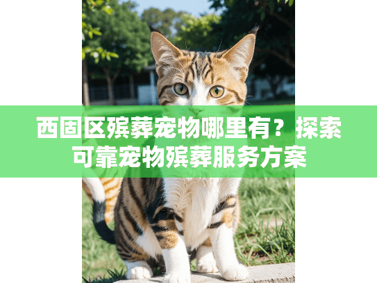 西固区殡葬宠物哪里有?探索可靠宠物殡葬服务方案 西固区殡葬宠物哪里有?探索可靠宠物殡葬服务方案