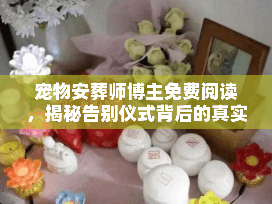 宠物安葬师博主免费阅读，揭秘告别仪式背后的真实价格与流程
